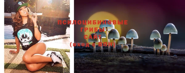 трава Саяногорск