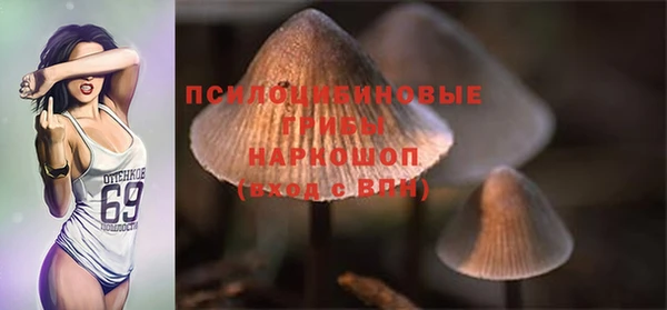 МДПВ Сафоново