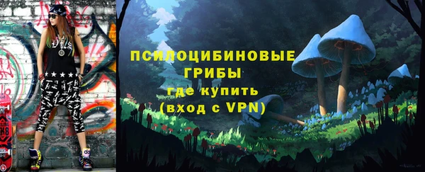 трава Саяногорск