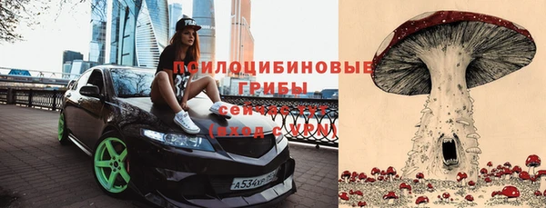 трава Саяногорск