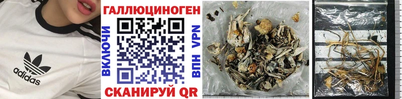 Псилоцибиновые грибы Cubensis Луза